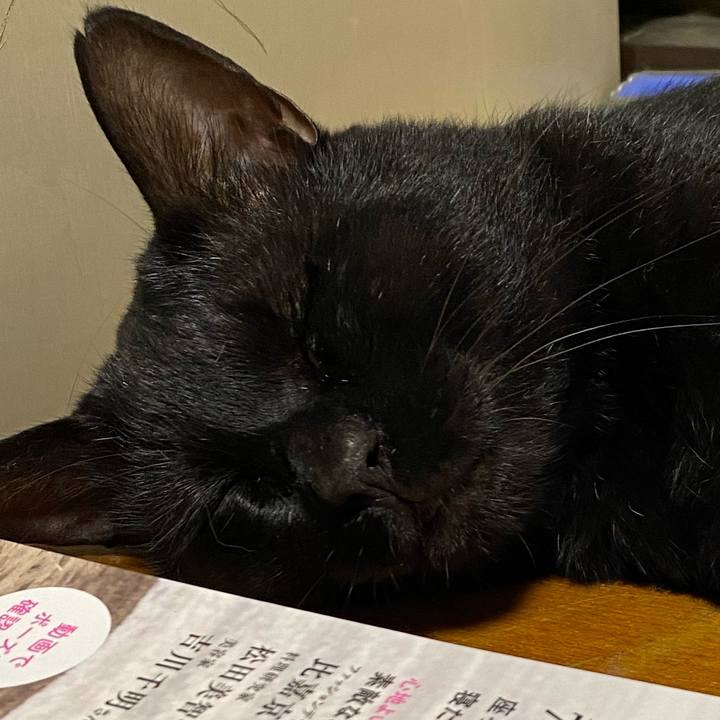 5c7f7bdc ad5a 4914 b085 ef5bddad0311 1658911237519