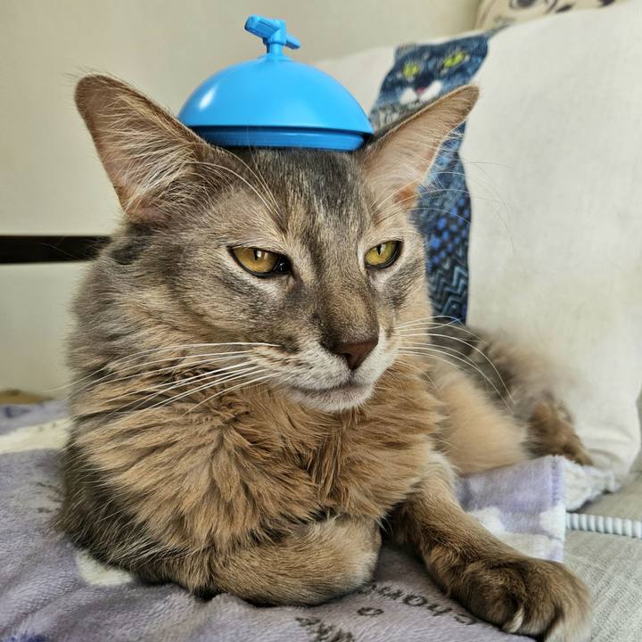 5c7f8d47 73a1 4868 8b93 d30daa6f3d26 1710387263431