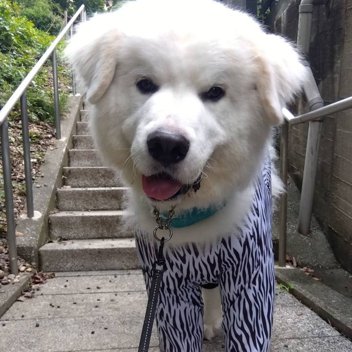 5c7f9570 34f2 4aa2 8f0b 4a3b782881b1 1695773861733