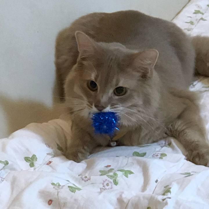 5c7fc879 94b5 4ad6 b6f4 3f7f10af267b 1607736938787