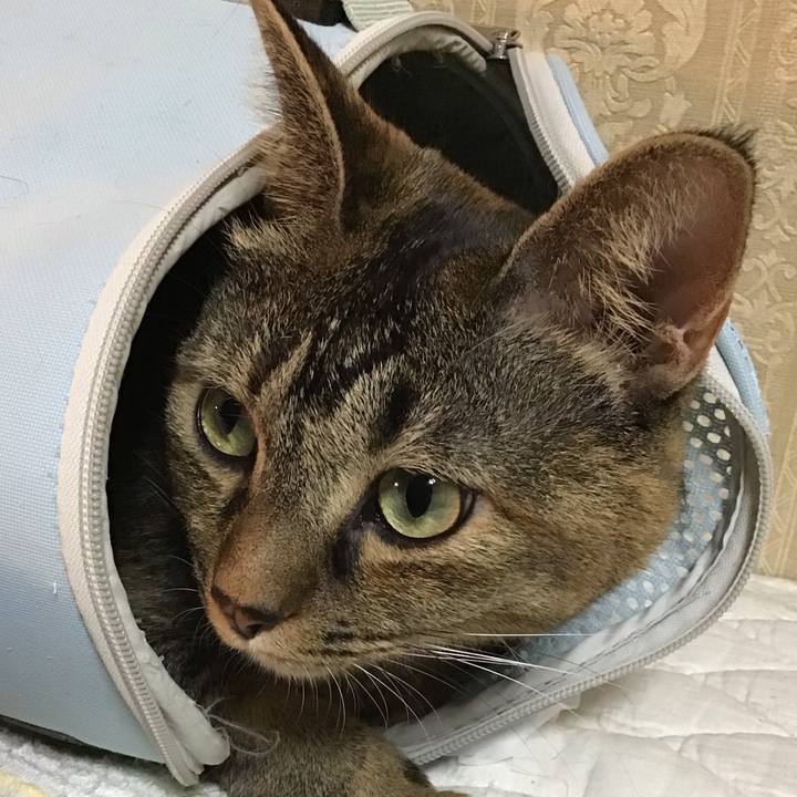 5c802fe9 914d 4af7 8fc3 3393ae566191 1665840026777