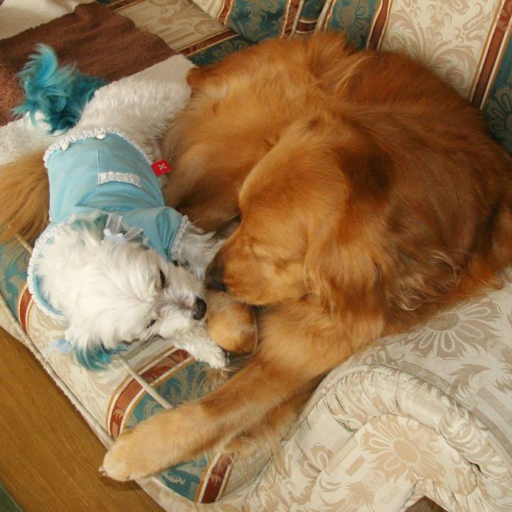 5c80426c 8c1b 4921 a201 30f23f744acc 1520262028808