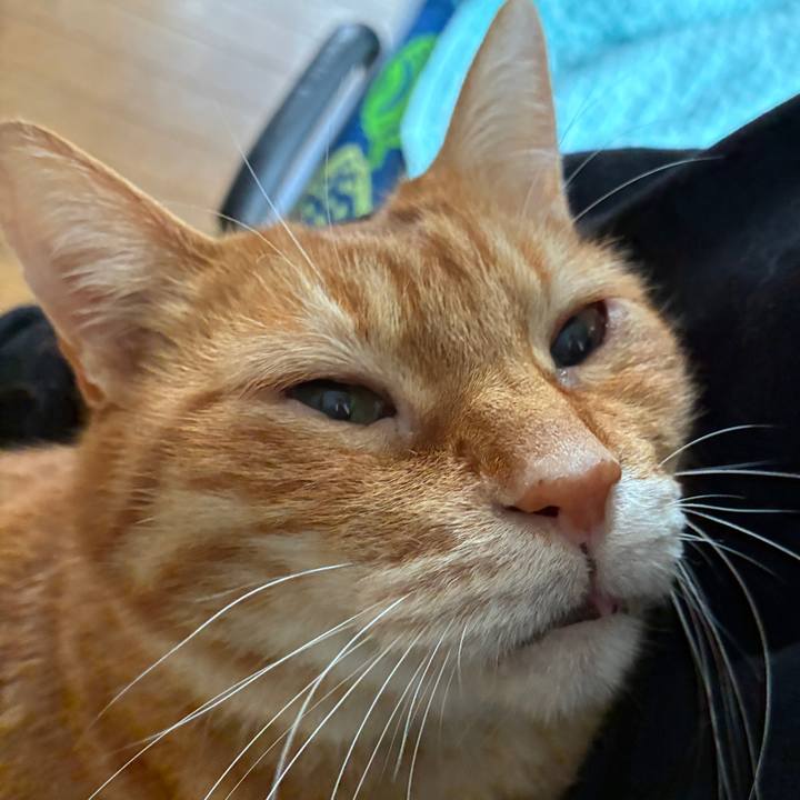 5c809ab6 0fc0 4146 b841 18c57cf1d480 1745012672431