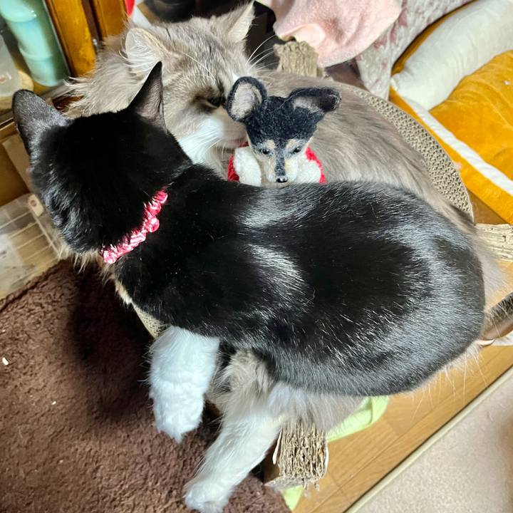 5c80d714 1195 4ca5 a9c1 62e28b1b0ba2 1681184772370