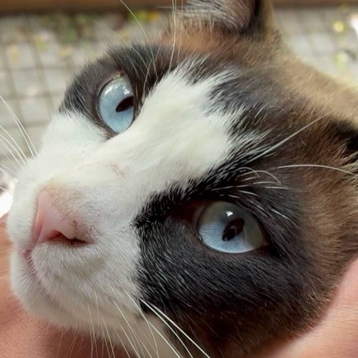 5c80f42f a664 4b63 9cd6 311c3feec1c4 1745497531455