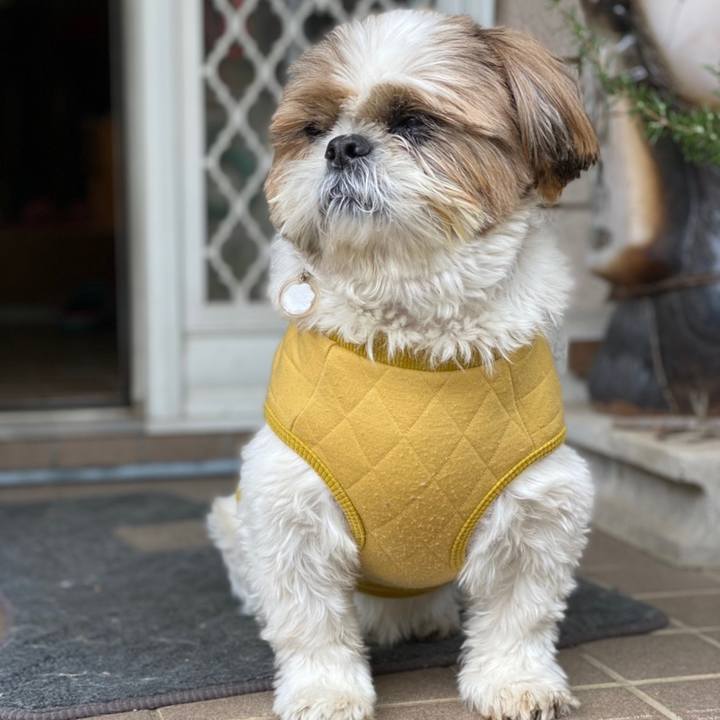 5c817594 a188 48c8 b050 39f4c5f864f8 1603539757344