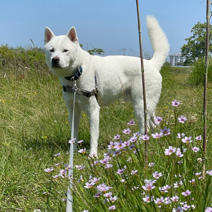 5c818502 bdd5 4fc8 bb34 51ddb2f52d56 1653101514567