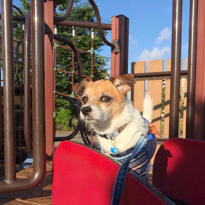 5c818aef 6fad 4404 9417 2cb6507007a9 1560636914263