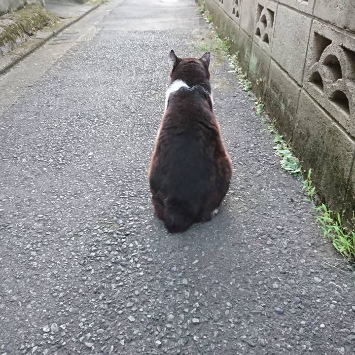 5c81d504 e5eb 4327 800b a298c9a67c7a 1689413980095