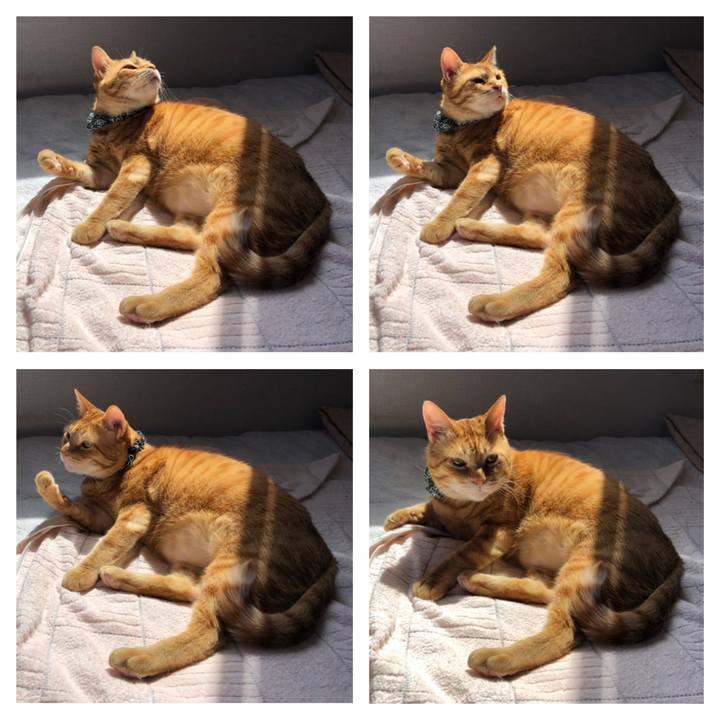 5c81e12e bb4b 4b36 b5c3 a214b38adc6a 1557017600974