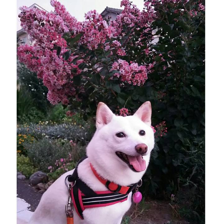 5c8202c7 e0f3 4ead afd0 34972f55c5b7 1564569599554