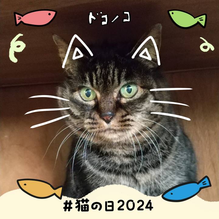 5c8208df 910a 45c3 a82e e93ed5b54827 1708550847788