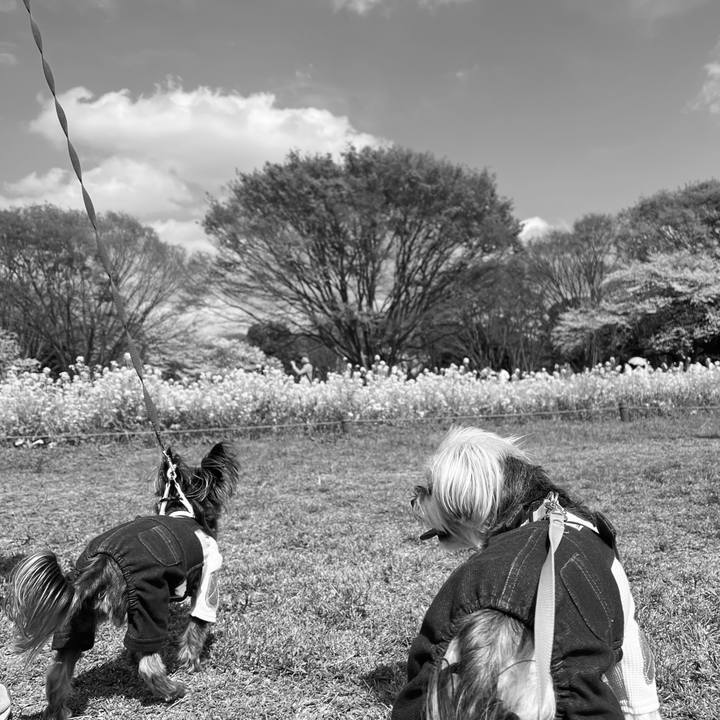 5c8228ca adc5 49ad ad25 7c549de45e04 1763866321573