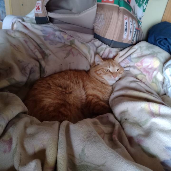 5c82520d 3d1f 45d6 8327 1d856241e858 1680840781833