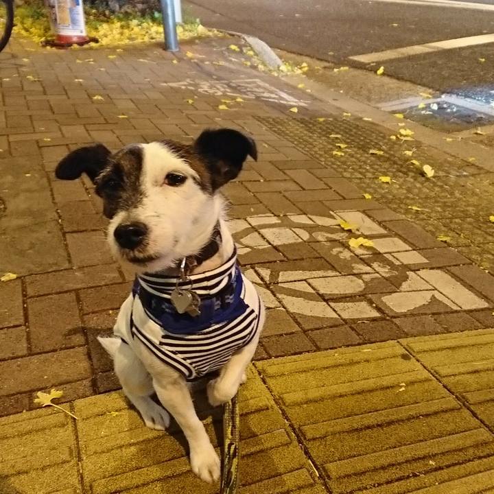 5c8272a2 2f5c 471c b142 d8244b4598a6 1512994468448