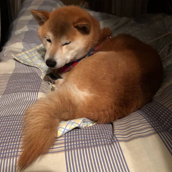 5c828115 2c95 43f9 bf0f 4948bd7d76ff 1557575902033