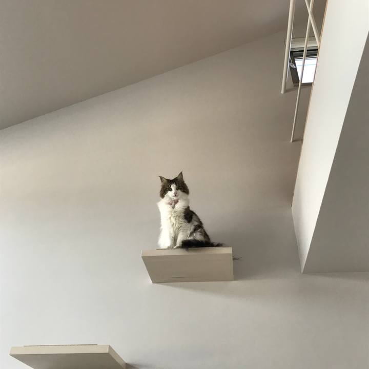 5c829a19 89f2 413b 9761 5c80c8227976 1522106204875