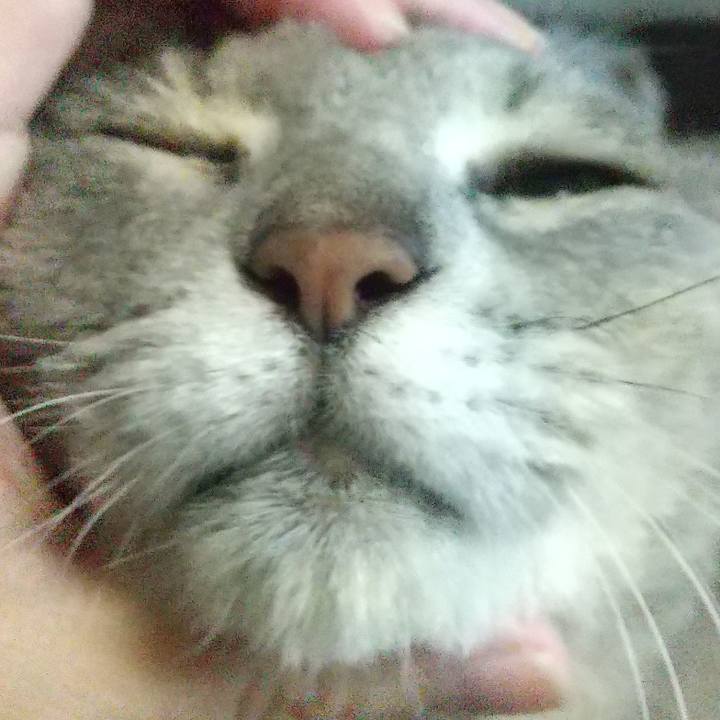 5c829c9c d1fd 4c84 9819 572202d32d77 1635719392673