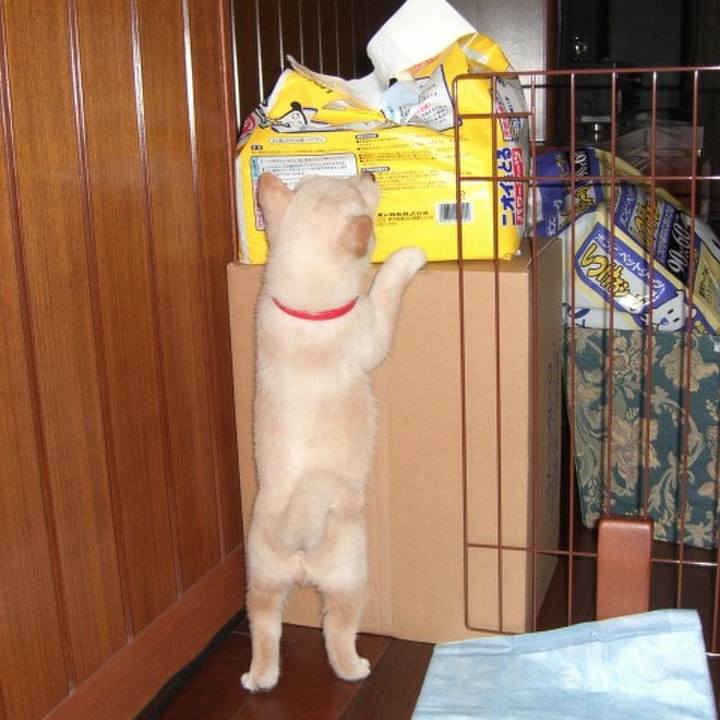 5c82a5f7 52d6 4d5a 9996 1a52461e052a 1675917606951