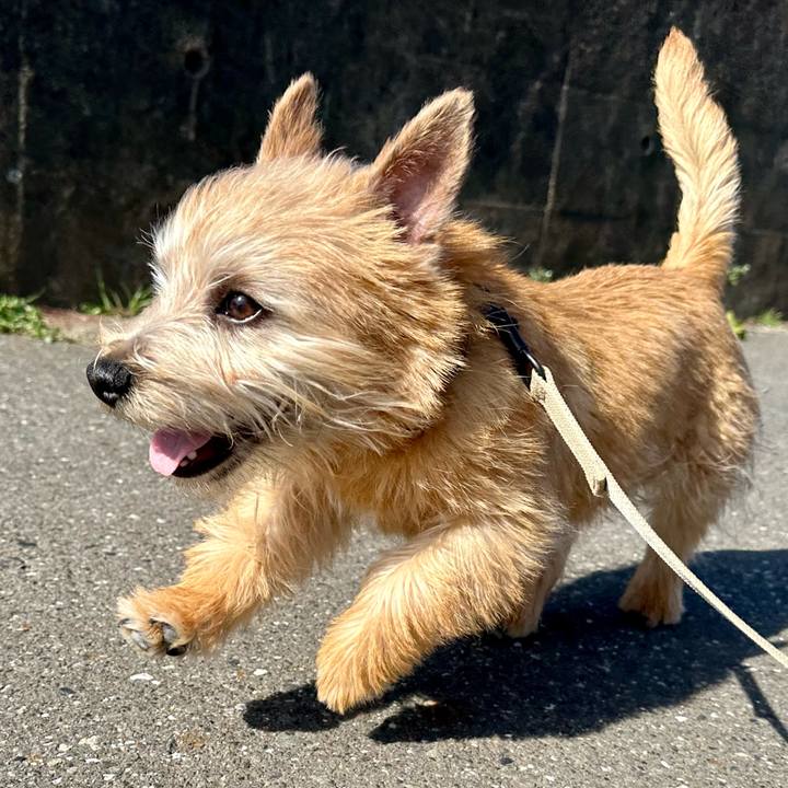 5c82dc33 f0ab 4f72 af49 9af475f639c3 1708837120412