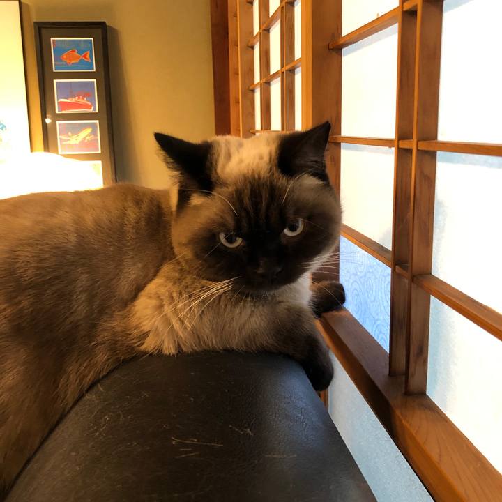 5c8309cd 1c76 40c5 b8f3 b2644bc781ab 1610240311238