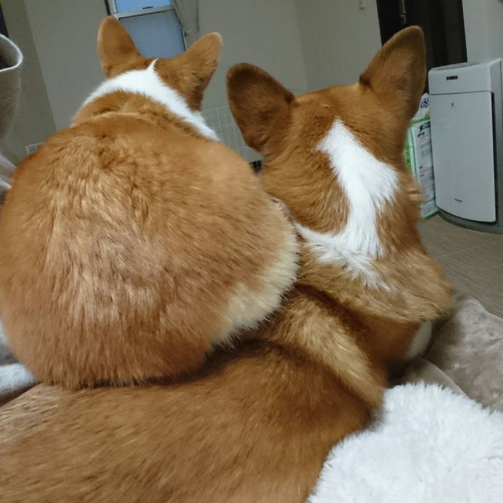 5c831a90 adfc 4f5e b68b 9a206163a8af 1549489866361