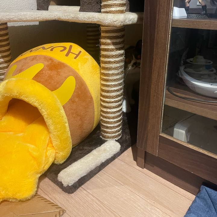 5c8321ca 54d6 4de8 9825 a9ee69b39e25 1692101881142