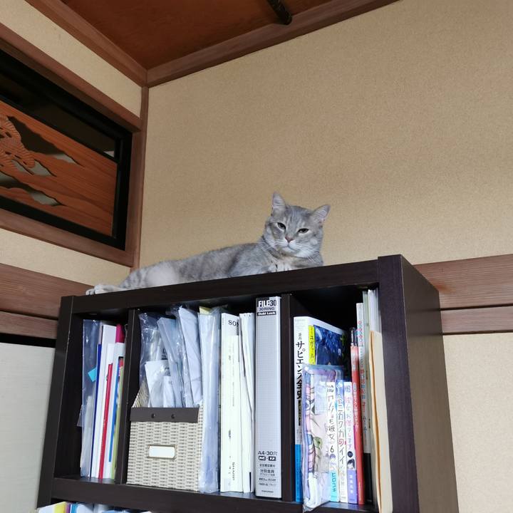 5c8392d3 c0fe 4763 9329 47c43325e48b 1655475608532