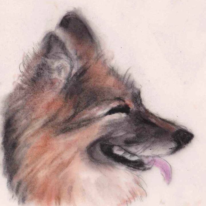 5c839369 005a 4543 ae40 87b4c585aa56 1629679796578