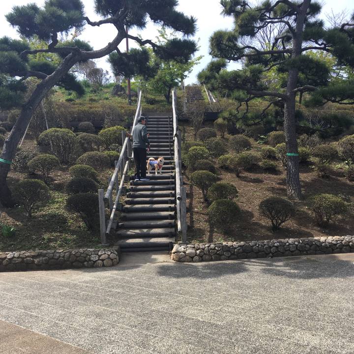 5c83b07a 3c1c 4f17 bdbd 173954caa51d 1553488832609