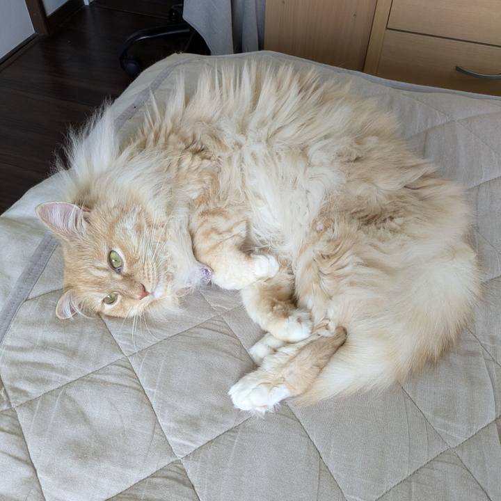 5c83c333 1f1b 48d2 a04c 6f588519bfb6 1750212508422