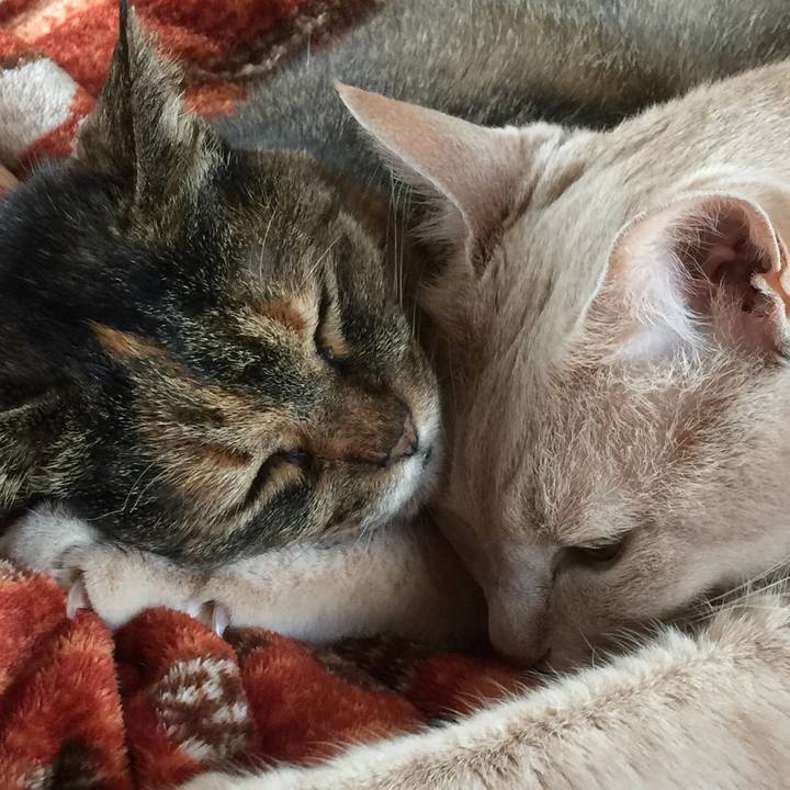 5c83cb01 205d 4bbb bc14 4301155fa3a0 1560253274200