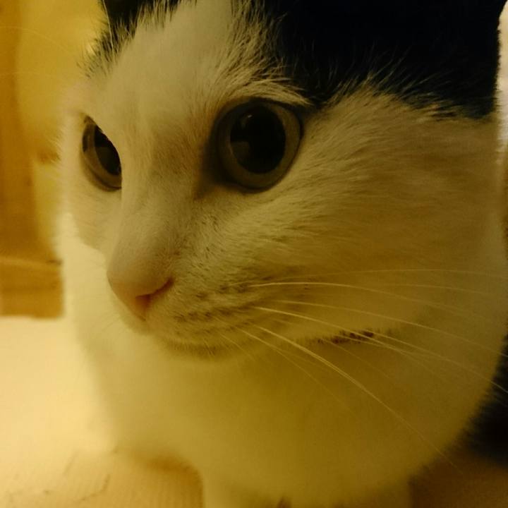 5c83d6c6 65c5 4147 aefe e80c807cbdbc 1515672745520