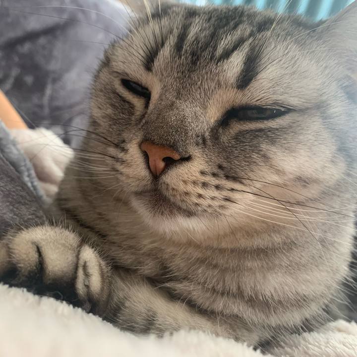 5c83f370 0df7 4170 8564 e4ee0b7501a5 1678232163560