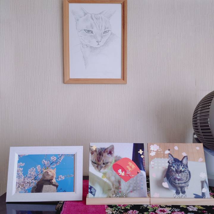 5c8480b1 49a6 42d9 8903 9e65fcd368ff 1774998943923