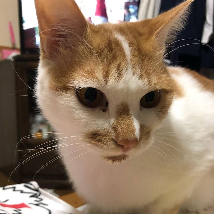 5c84905b ebf0 4f32 97c5 f65b0649a292 1603096643406