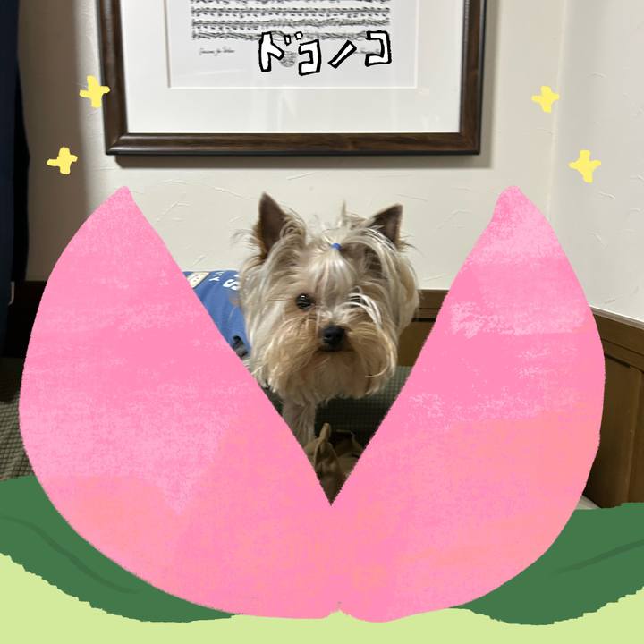 5c84cb45 90e9 4971 8712 74e87498c249 1771830718422