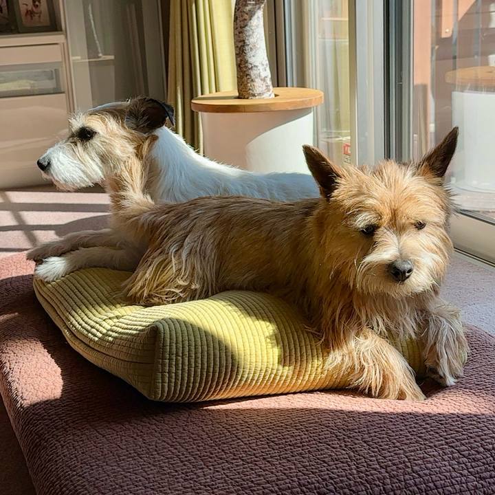 5c84f1fd 6518 4bd6 a996 b973981d1dff 1741528219864