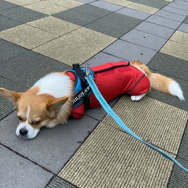 5c851d32 c383 4529 89bf ec1a5d81b162 1624935402263