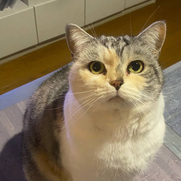 5c853306 8ec7 4d17 b311 78142fae215e 1678463783392