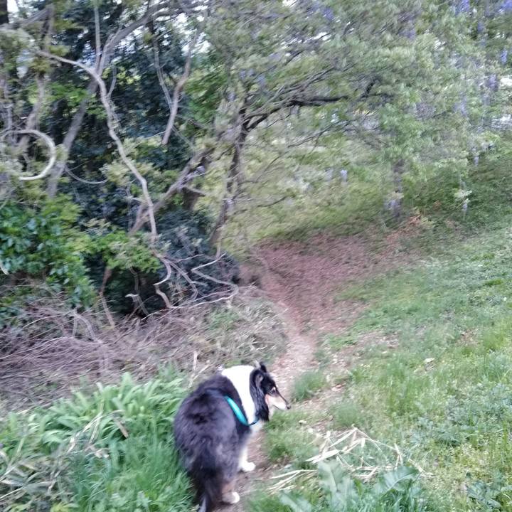 5c856404 fe88 4b66 9c5d ec89a68f6253 1523889754599