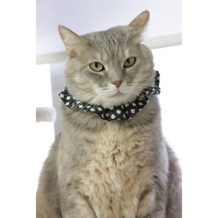 5c8568c7 deab 4824 85ac e96f5b880e50 1674189835091