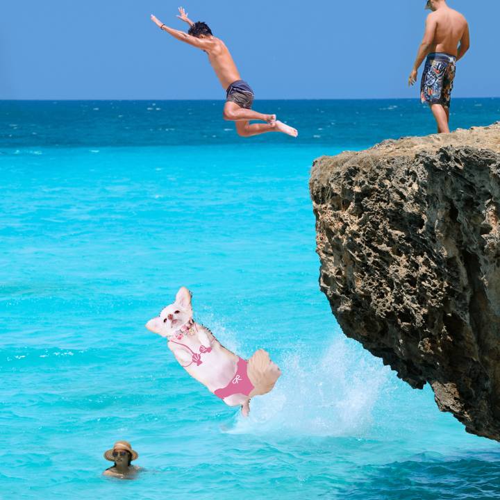 5c8577a9 12f6 4041 9299 b935503579aa 1692798235718