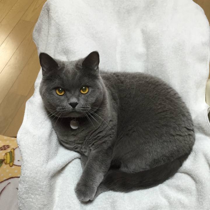 5c85bd6e f839 455e 81e7 b641d0c989c7 1773479496793