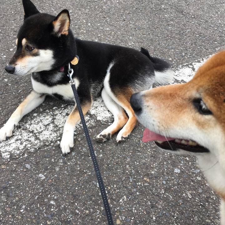 5c85d3b4 0a7b 4616 9d5f ec43f69a6d5e 1561245944408