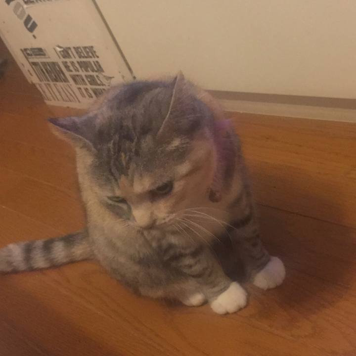 5c85df1a 3000 4e1e 9676 bb8fd8b6e26f 1558441950870