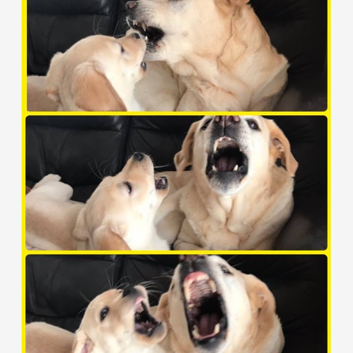 5c85e8aa ced6 43d0 9e7e 37532075875e 1552655486924