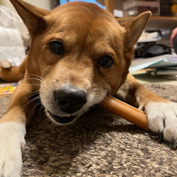 5c85e989 b09b 4917 9bed b6ca4f18d7be 1674651060728