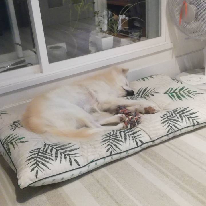 5c85eaf6 d08d 4640 bdeb 83b1b6731602 1509191960918