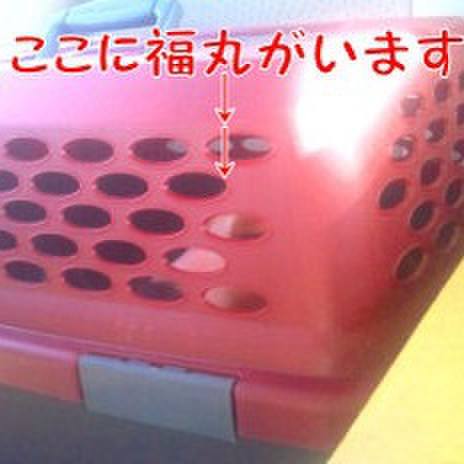 5c860b6d 7551 4f44 8338 0fc8ef65d067 1677378145200